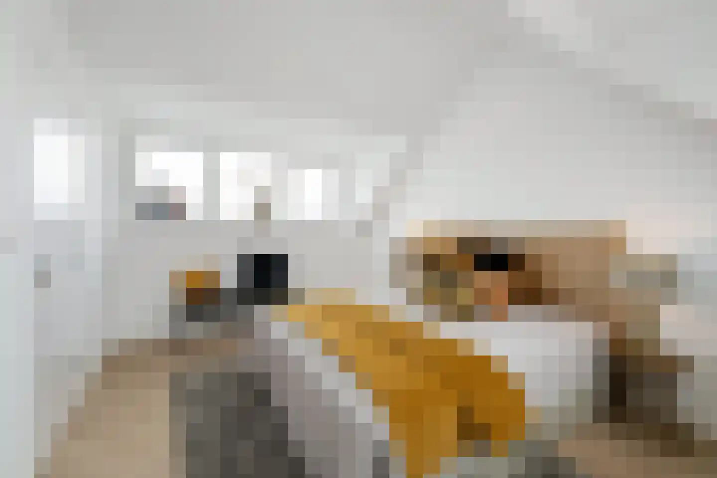 Dorpsstraat 216 Zevenhuizen thumbnail 28