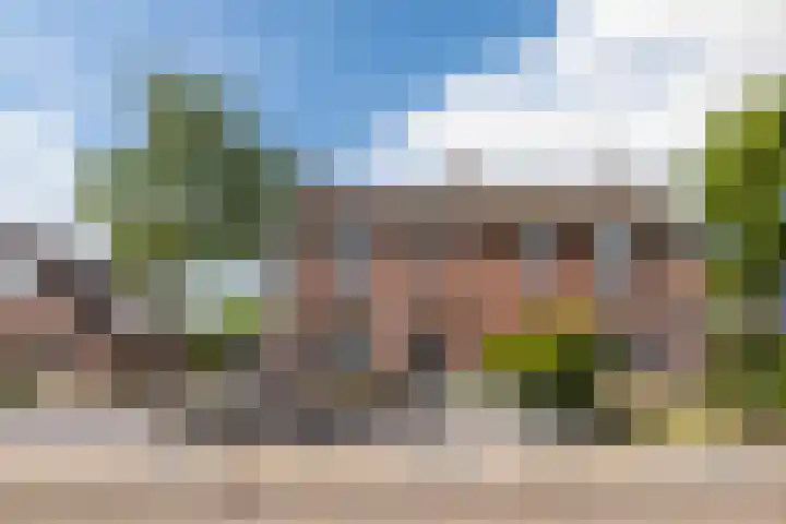 Dorpsstraat 22 in Elim