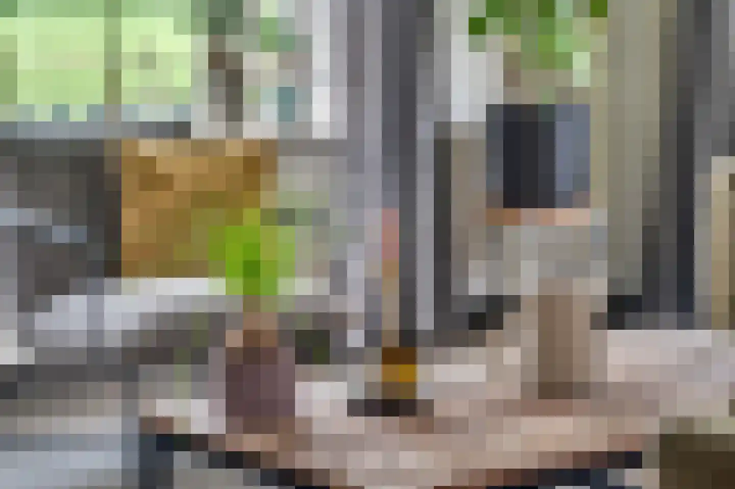 Dorpsstraat 22 Driel thumbnail 10
