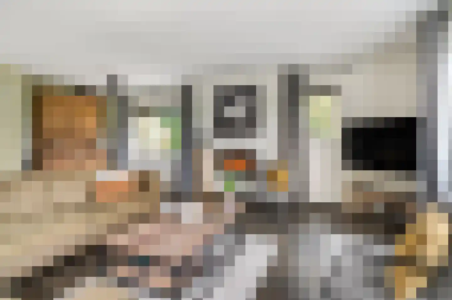 Dorpsstraat 22 Driel thumbnail 11