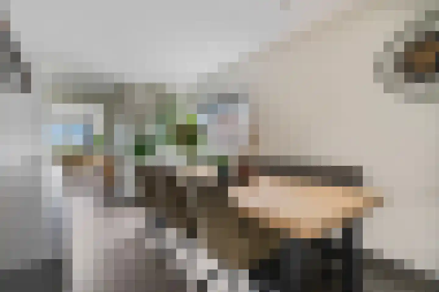 Dorpsstraat 22 Driel thumbnail 16