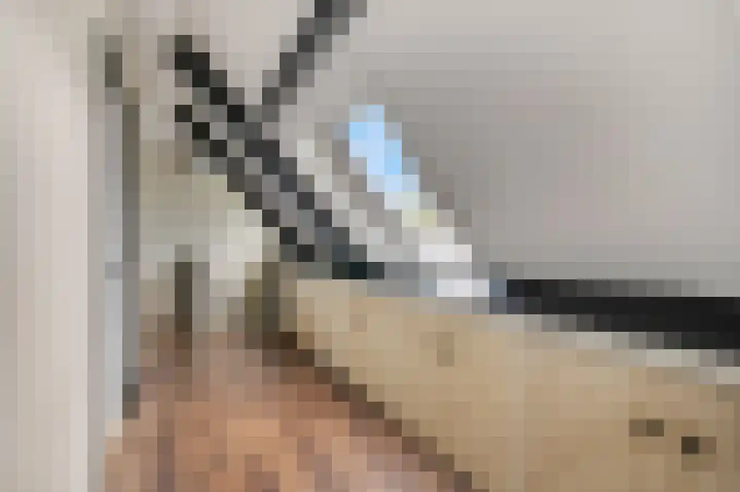 Dorpsstraat 22 Driel thumbnail 19