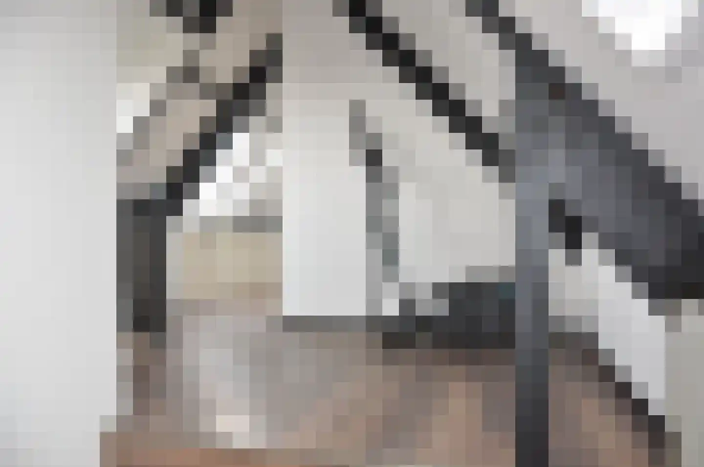 Dorpsstraat 22 Driel thumbnail 20