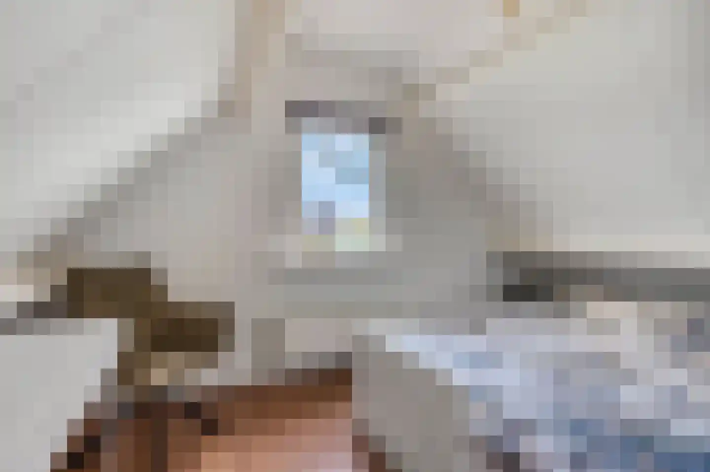 Dorpsstraat 22 Driel thumbnail 21
