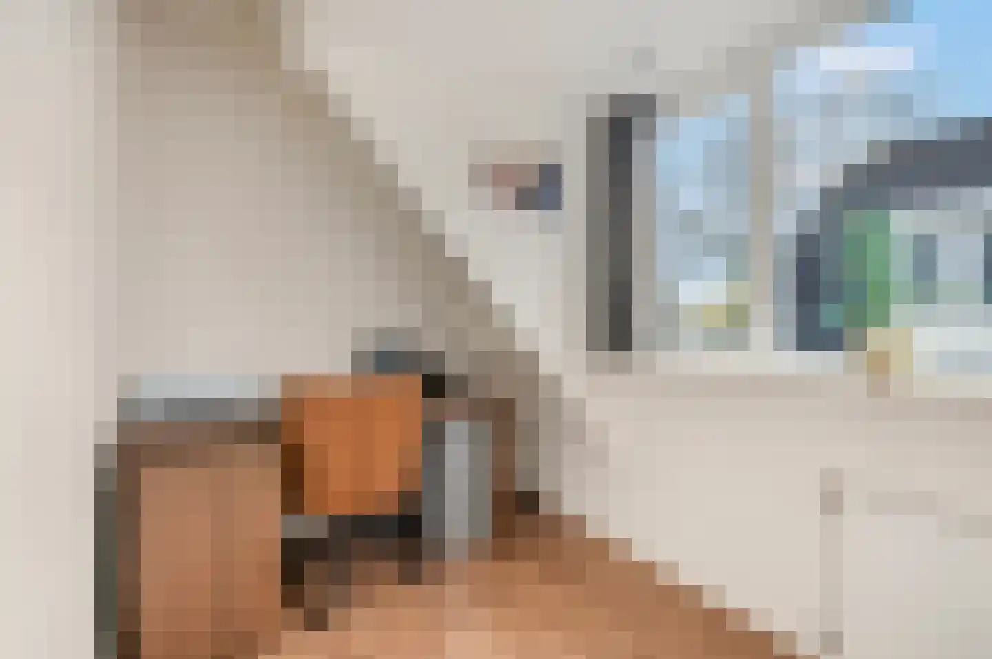 Dorpsstraat 22 Driel thumbnail 24
