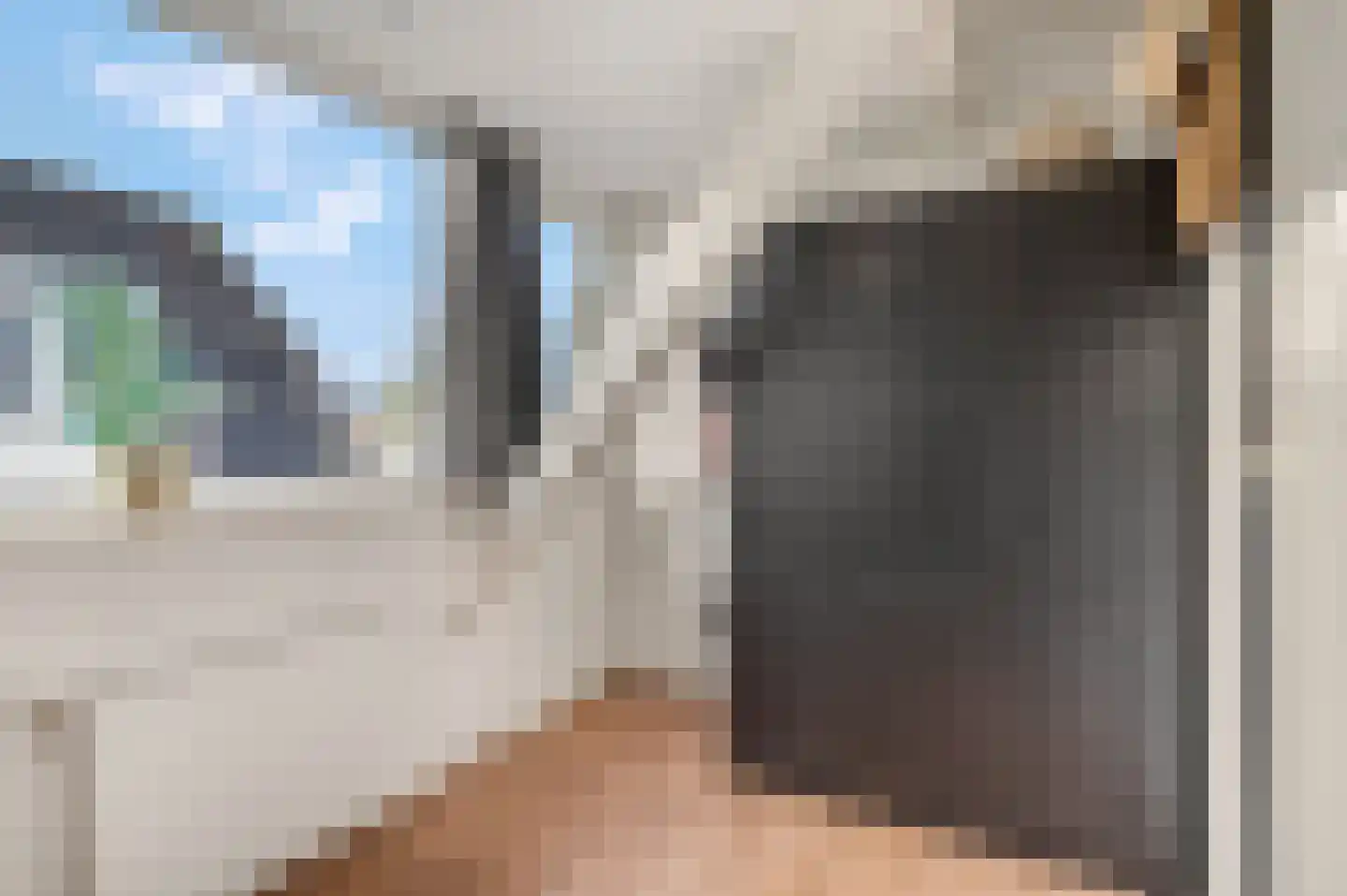 Dorpsstraat 22 Driel thumbnail 25