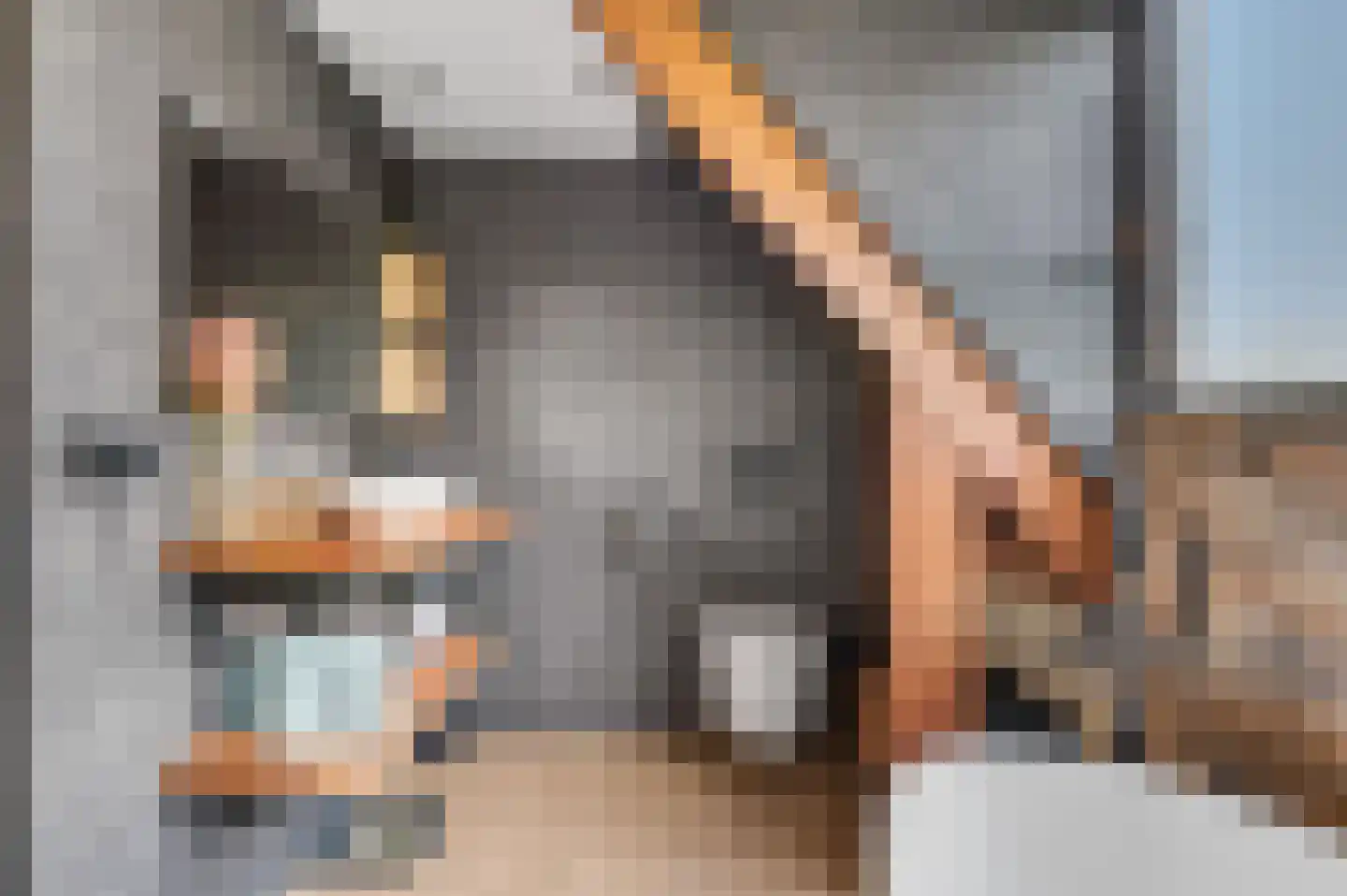 Dorpsstraat 22 Driel thumbnail 30