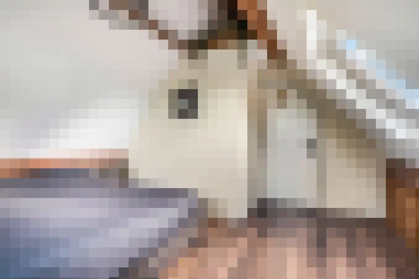 Dorpsstraat 22 Driel thumbnail 31