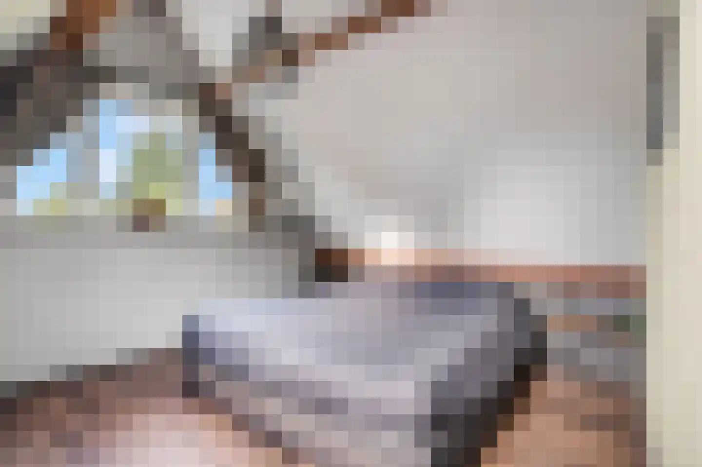 Dorpsstraat 22 Driel thumbnail 32