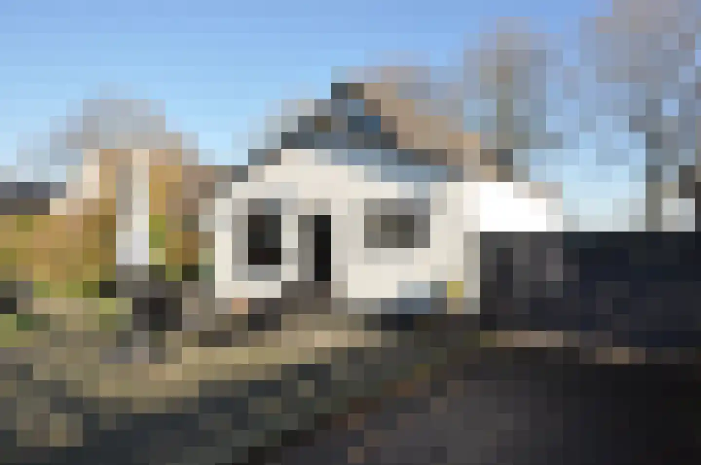 Dorpsstraat 22 Driel thumbnail 34