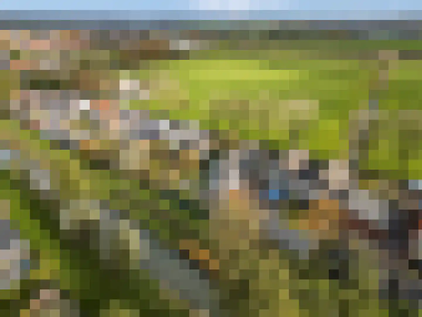 Dorpsstraat 22 Driel thumbnail 4