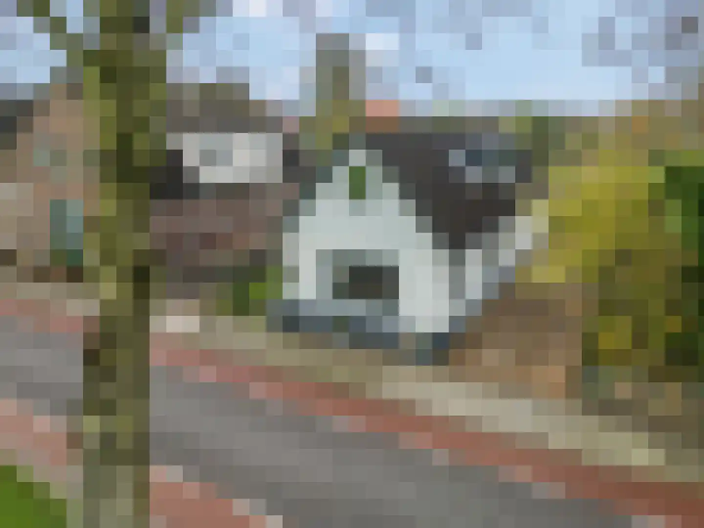 Dorpsstraat 22 Driel thumbnail 46