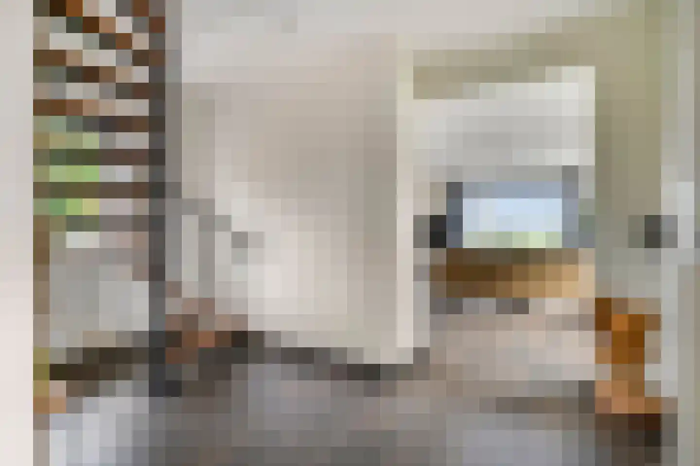 Dorpsstraat 22 Driel thumbnail 5