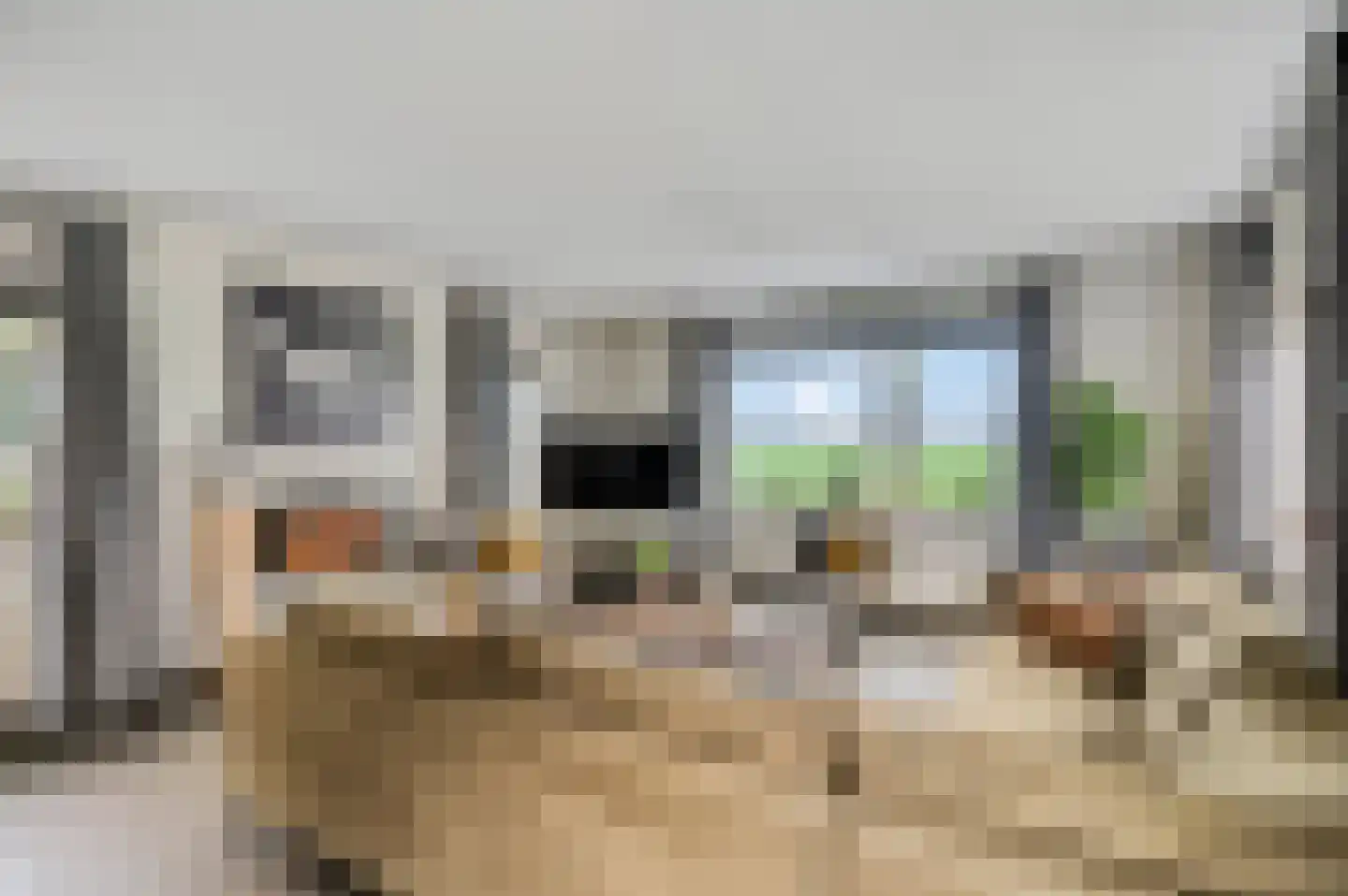 Dorpsstraat 22 Driel thumbnail 8
