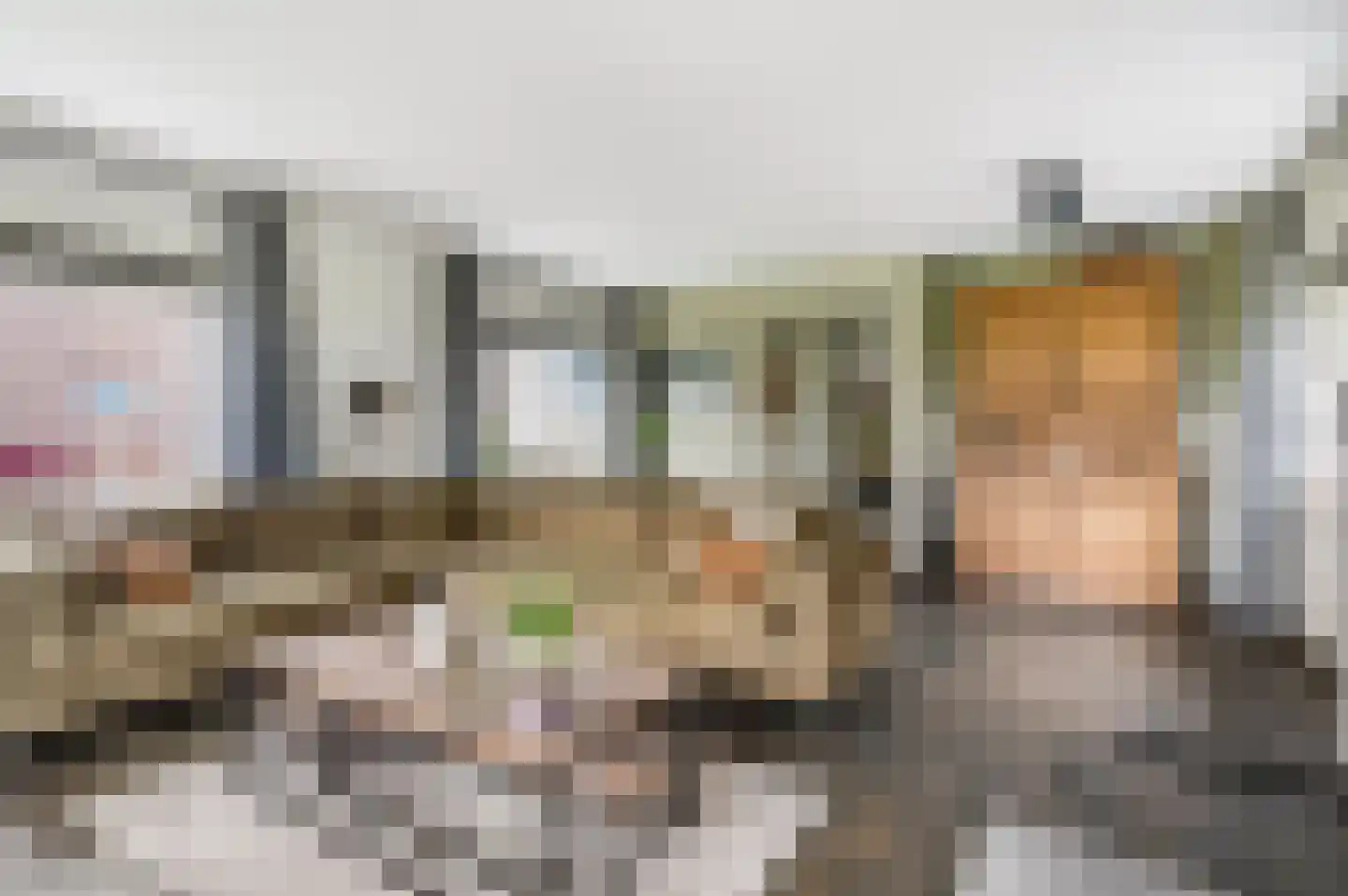 Dorpsstraat 22 Driel thumbnail 9