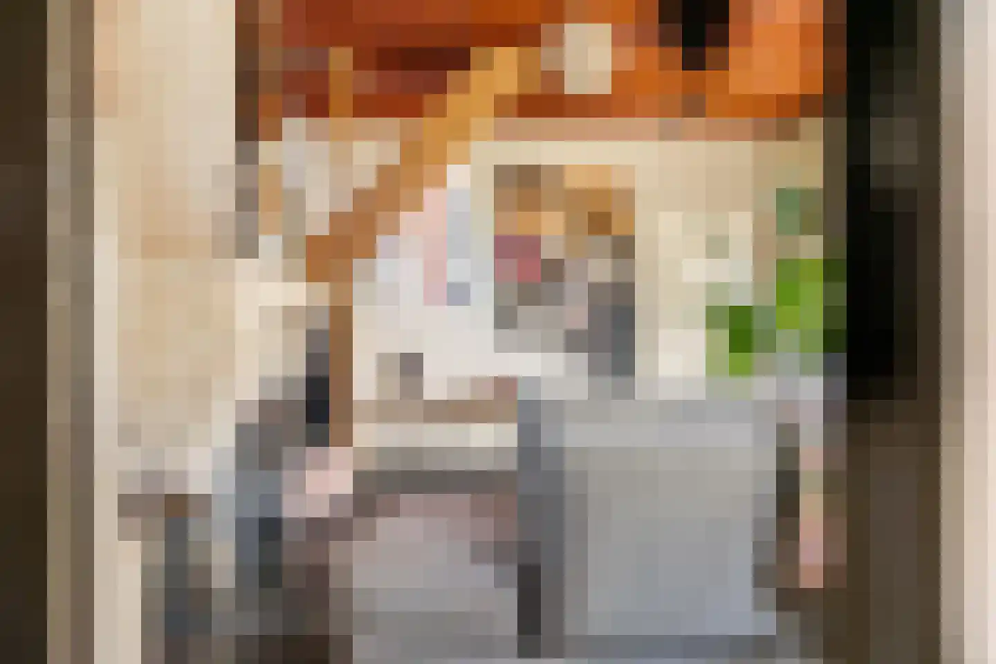 Dorpsstraat 22 Lage Vuursche thumbnail 23