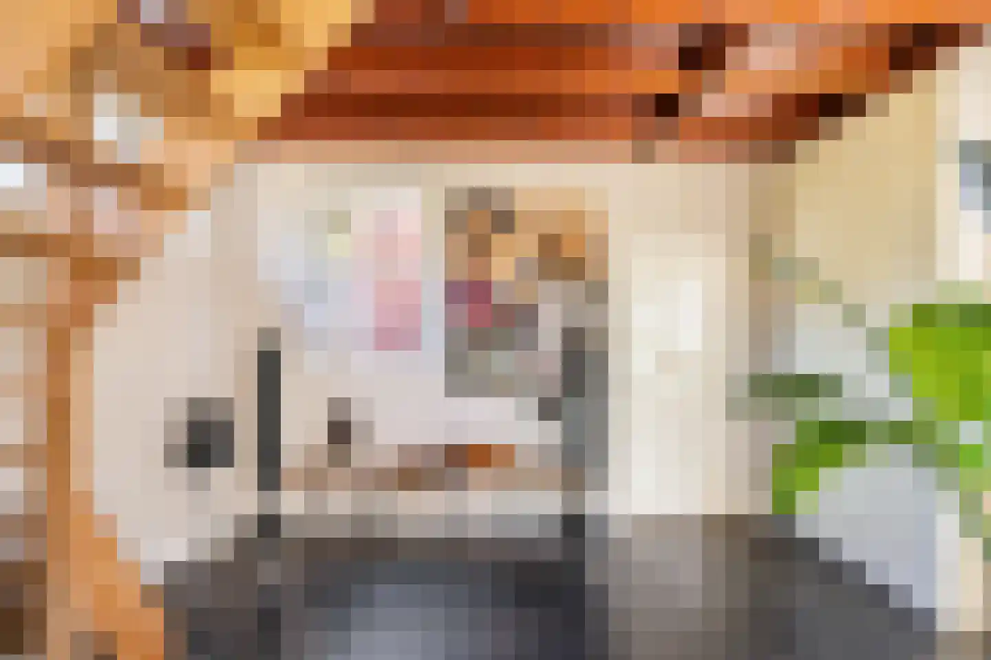 Dorpsstraat 22 Lage Vuursche thumbnail 26