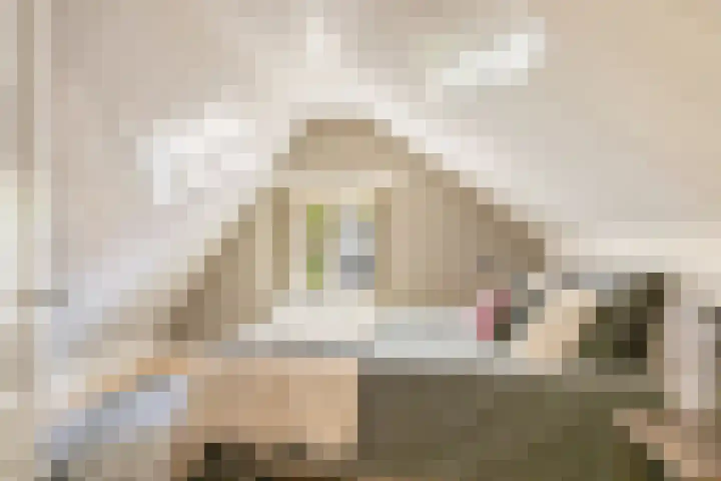 Dorpsstraat 22 Lage Vuursche thumbnail 33