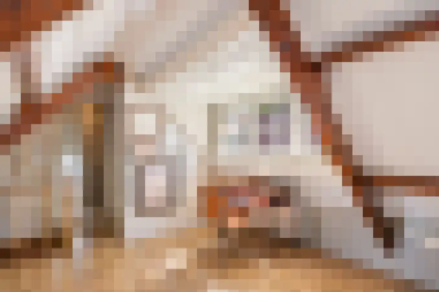 Dorpsstraat 22 Lage Vuursche thumbnail 37