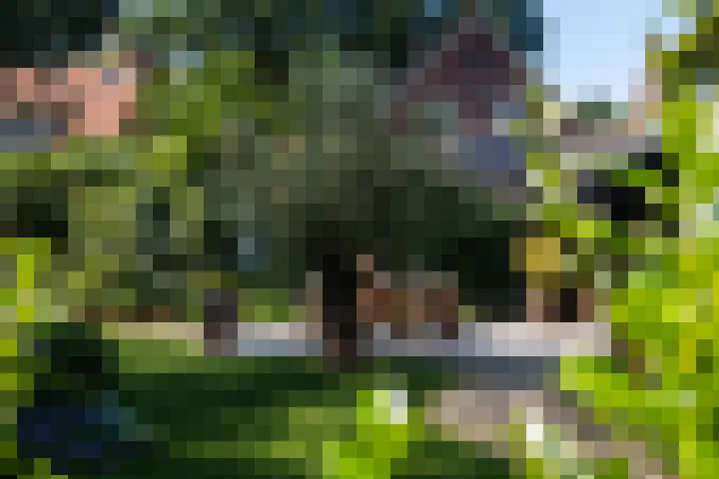 Dorpsstraat 22 Lage Vuursche thumbnail 4