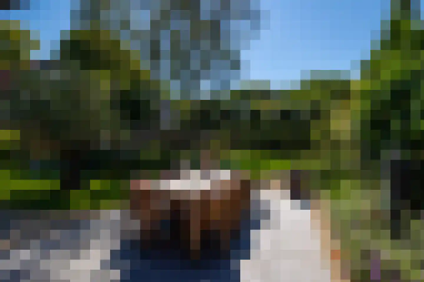 Dorpsstraat 22 Lage Vuursche thumbnail 42