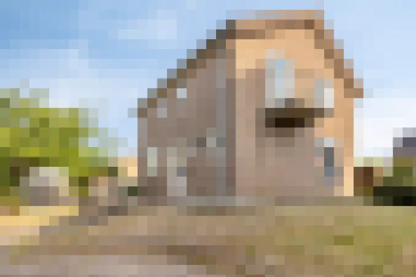 Dorpsstraat 22 Middelaar thumbnail 20