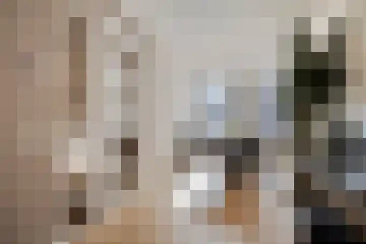 Dorpsstraat 22 Ouderkerk aan den IJssel thumbnail 5