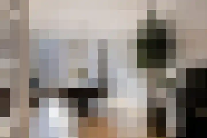 Dorpsstraat 22 Ouderkerk aan den IJssel thumbnail 6