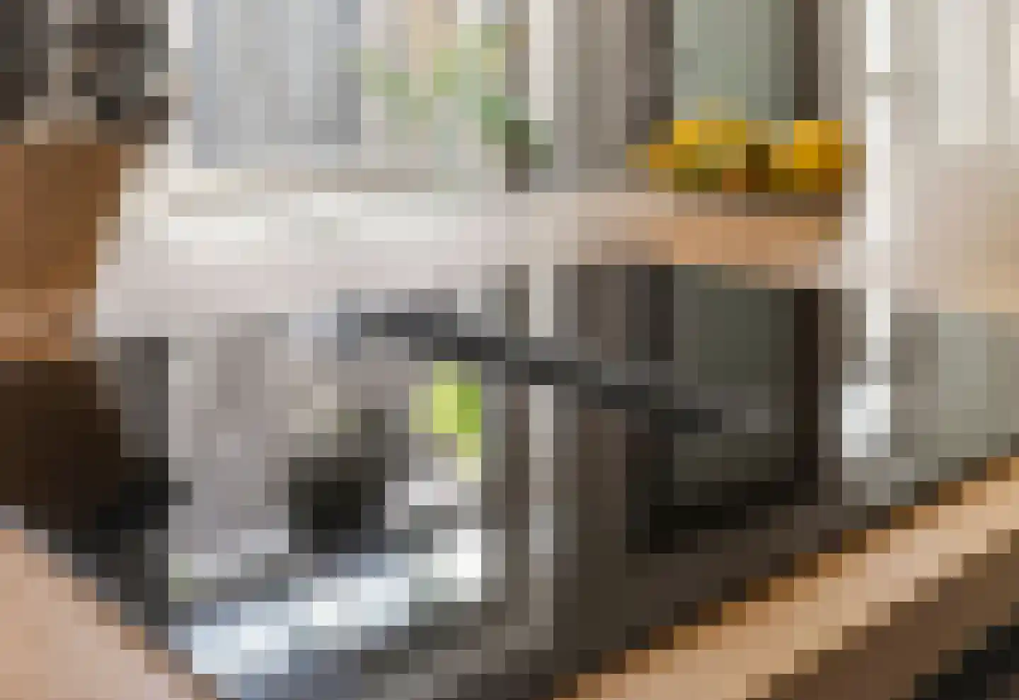 Dorpsstraat 22 Rheden thumbnail 12
