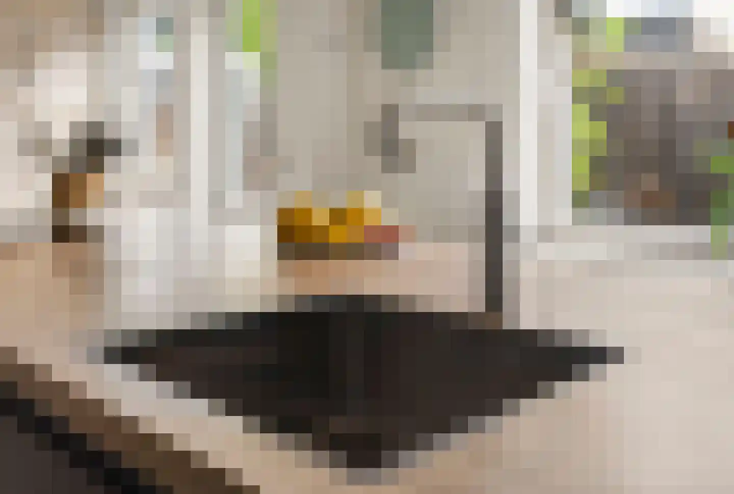 Dorpsstraat 22 Rheden thumbnail 13