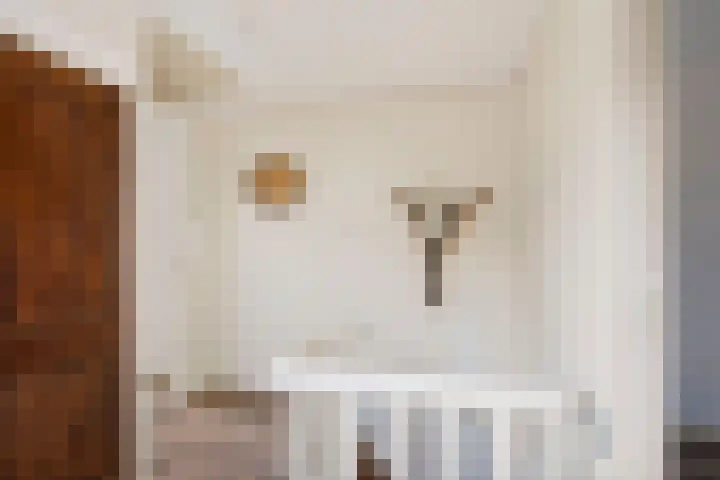 Dorpsstraat 22 Rheden thumbnail 20