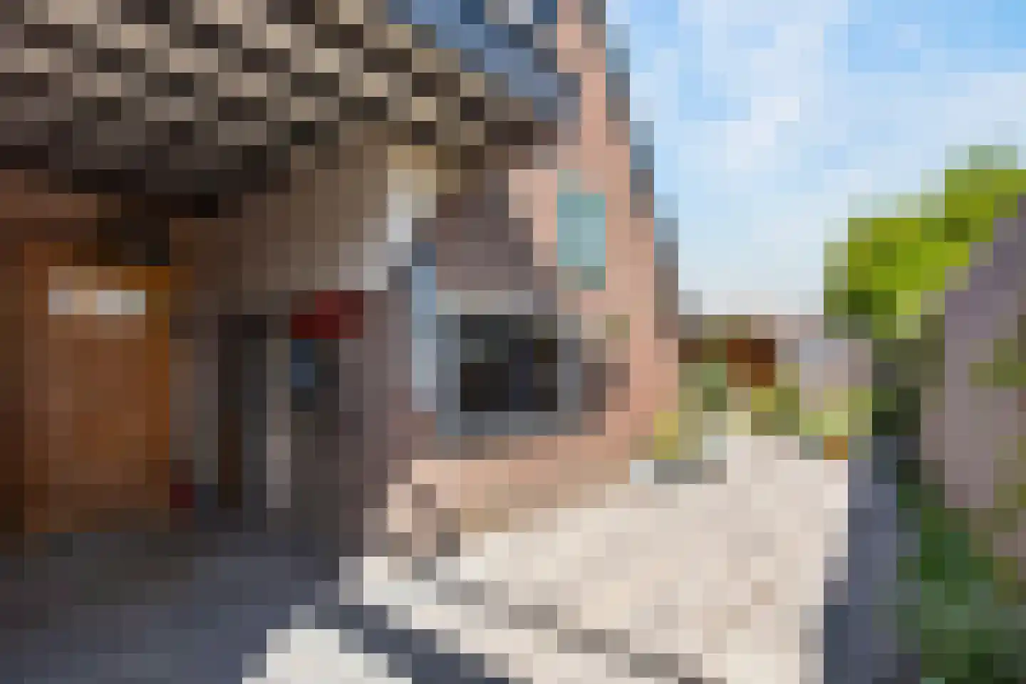 Dorpsstraat 22 Rheden thumbnail 27