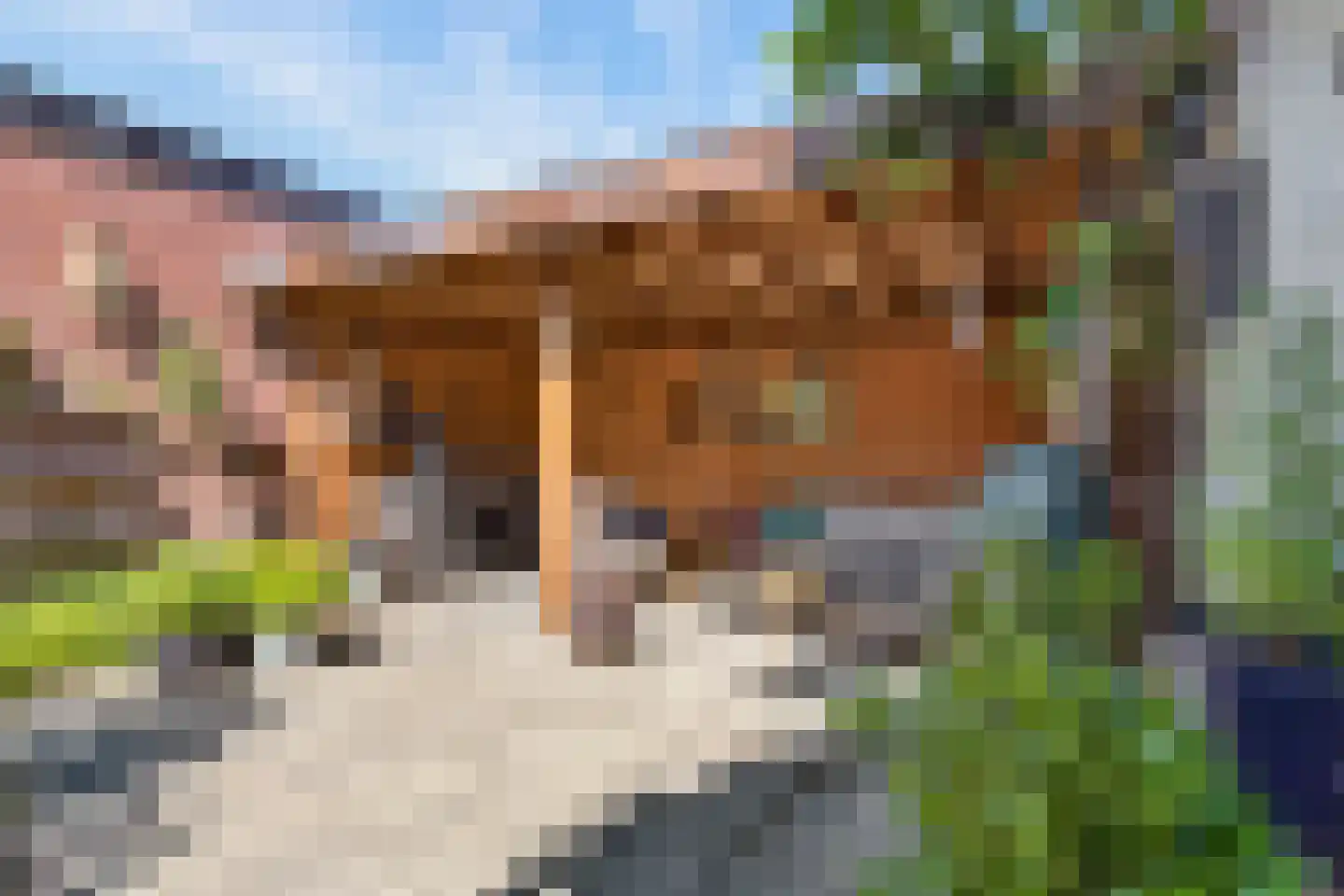 Dorpsstraat 22 Rheden thumbnail 30