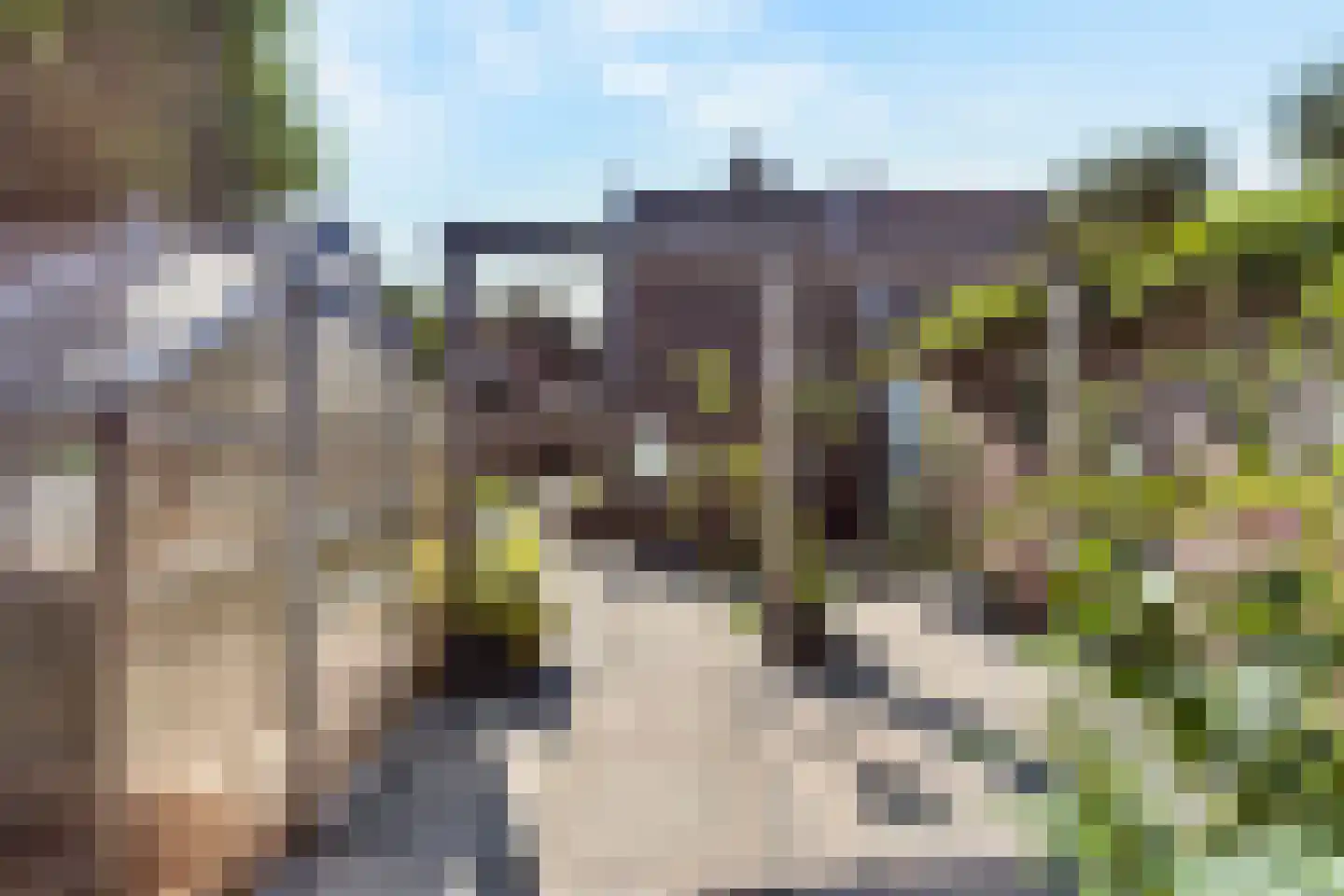 Dorpsstraat 22 Rheden thumbnail 36