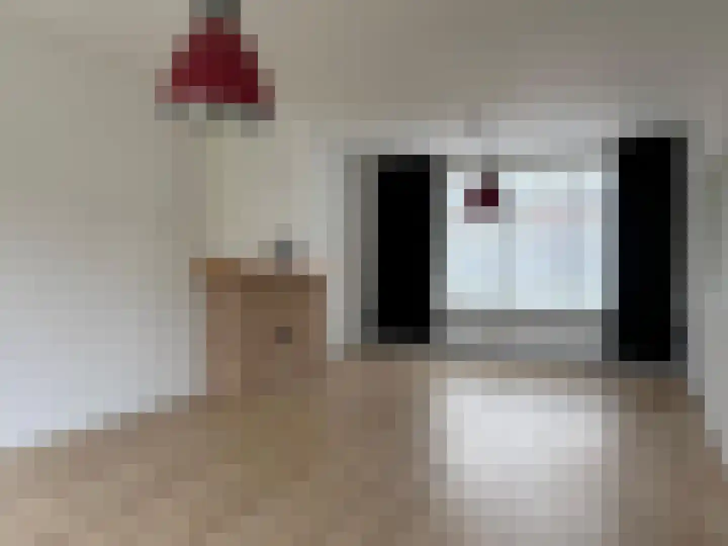 Dorpsstraat 22 Schoondijke thumbnail 10