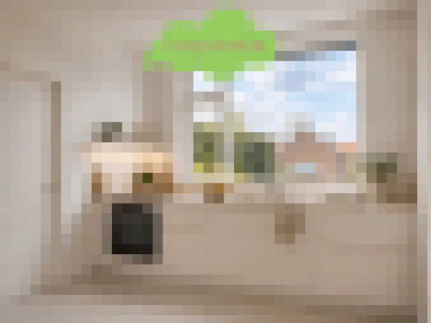 Dorpsstraat 22 Schoondijke thumbnail 19