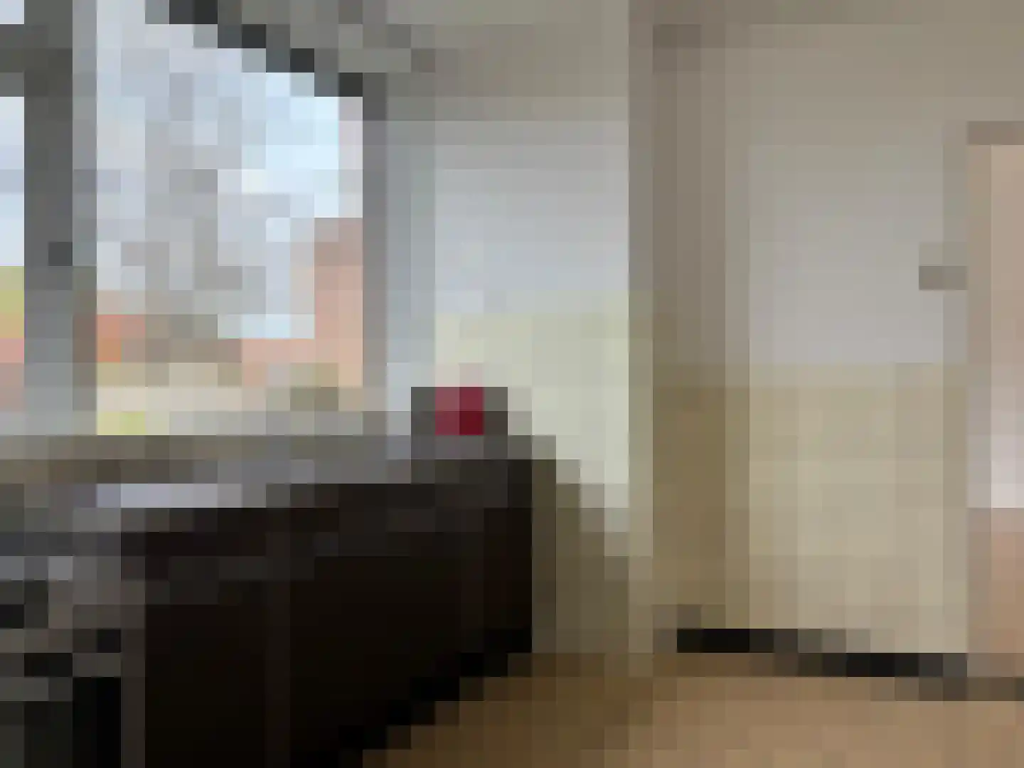Dorpsstraat 22 Schoondijke thumbnail 21