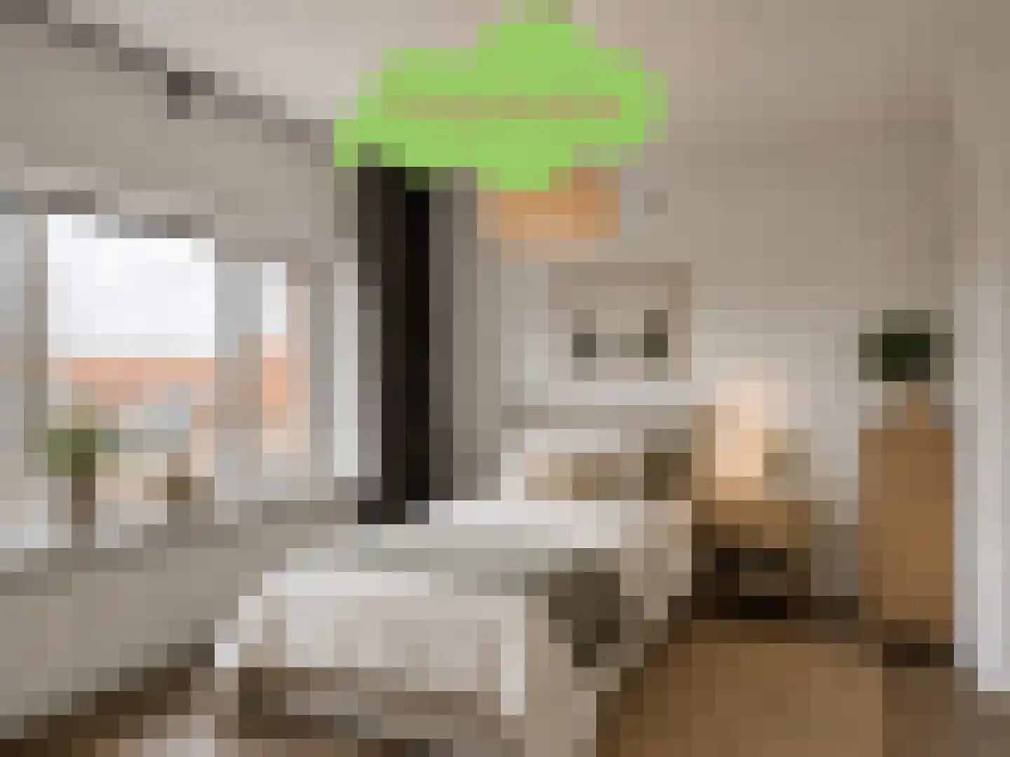 Dorpsstraat 22 Schoondijke thumbnail 27