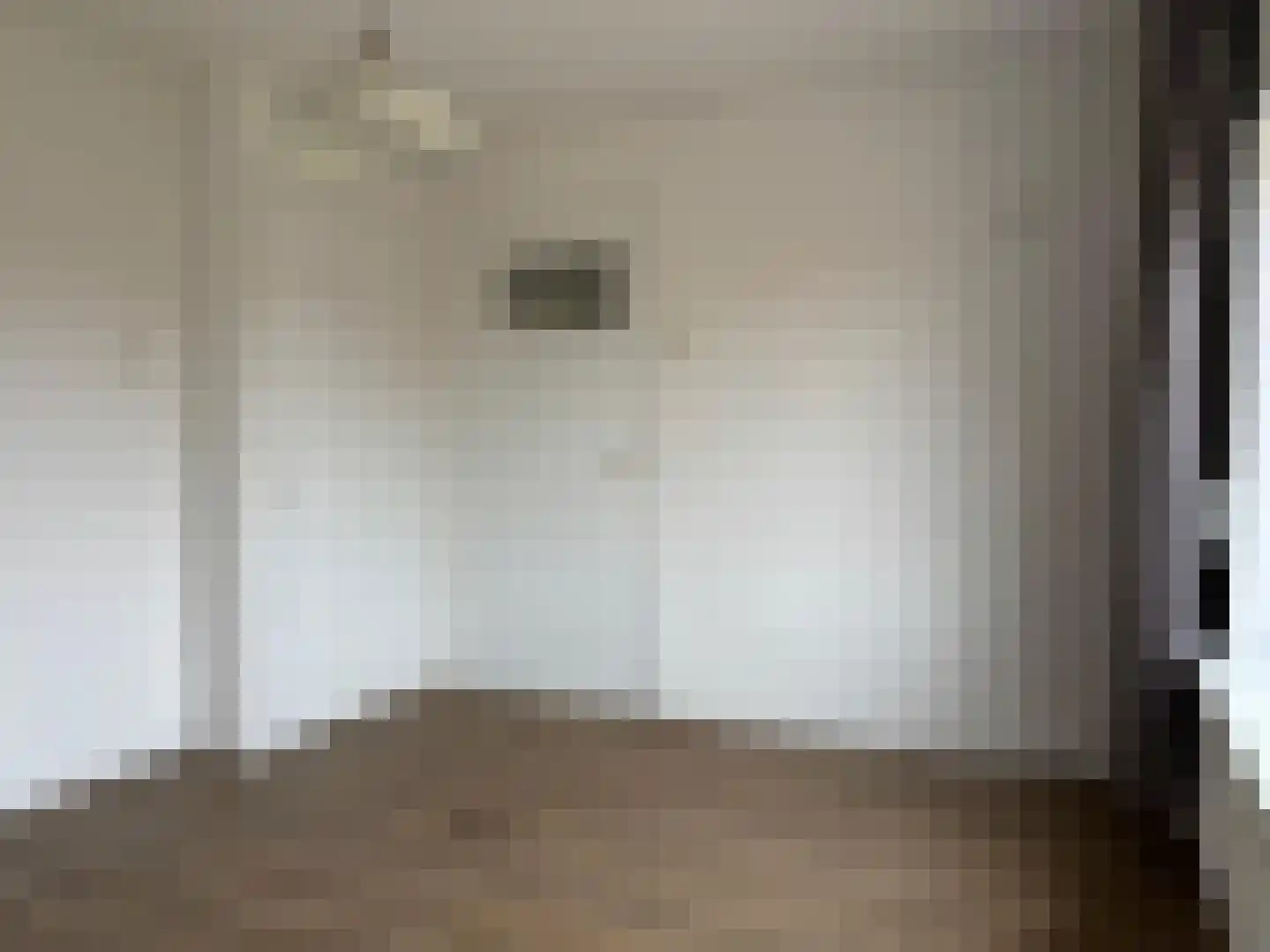 Dorpsstraat 22 Schoondijke thumbnail 29