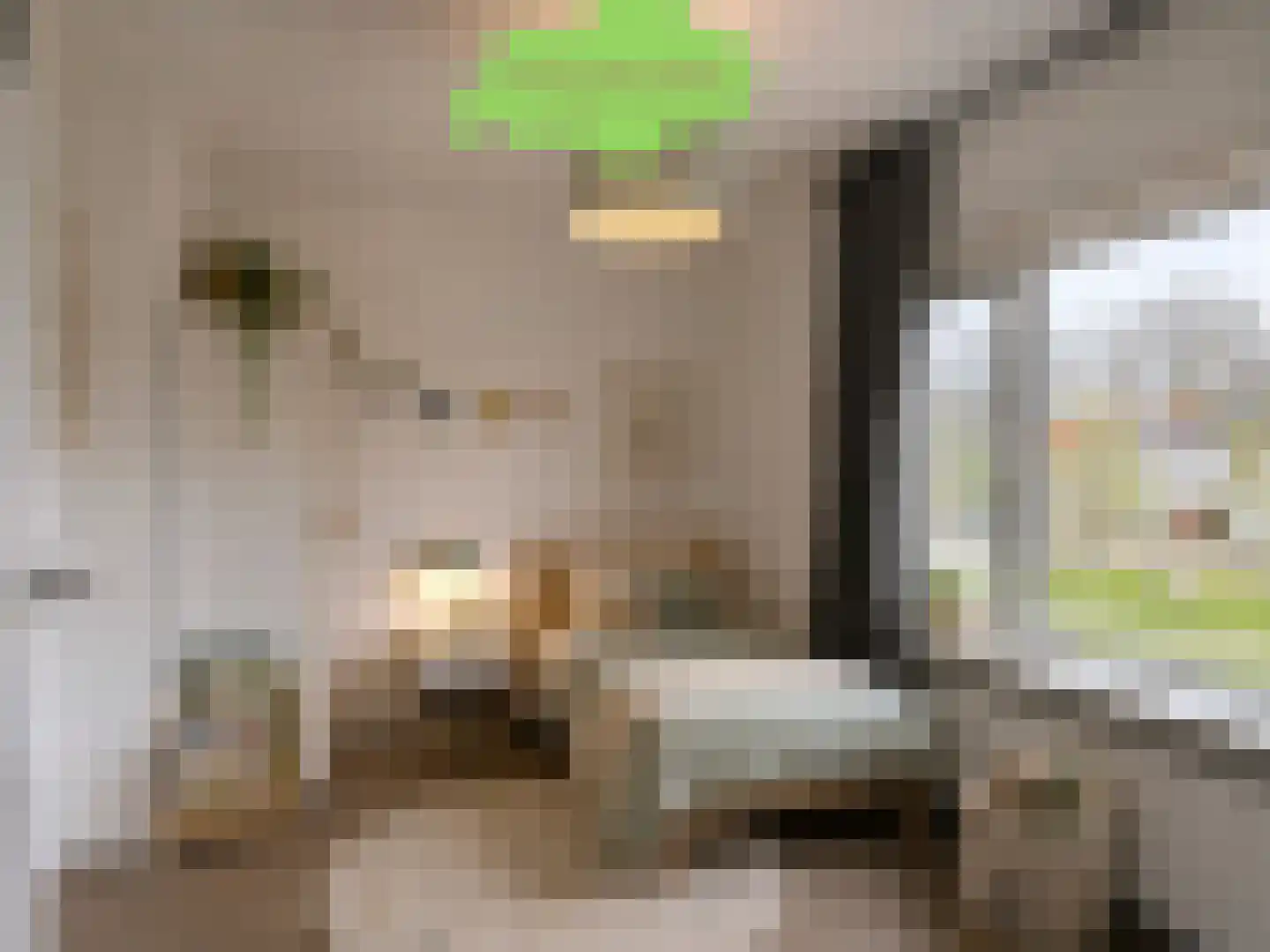 Dorpsstraat 22 Schoondijke thumbnail 30