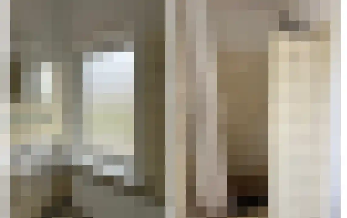 Dorpsstraat 22 Schoondijke thumbnail 34