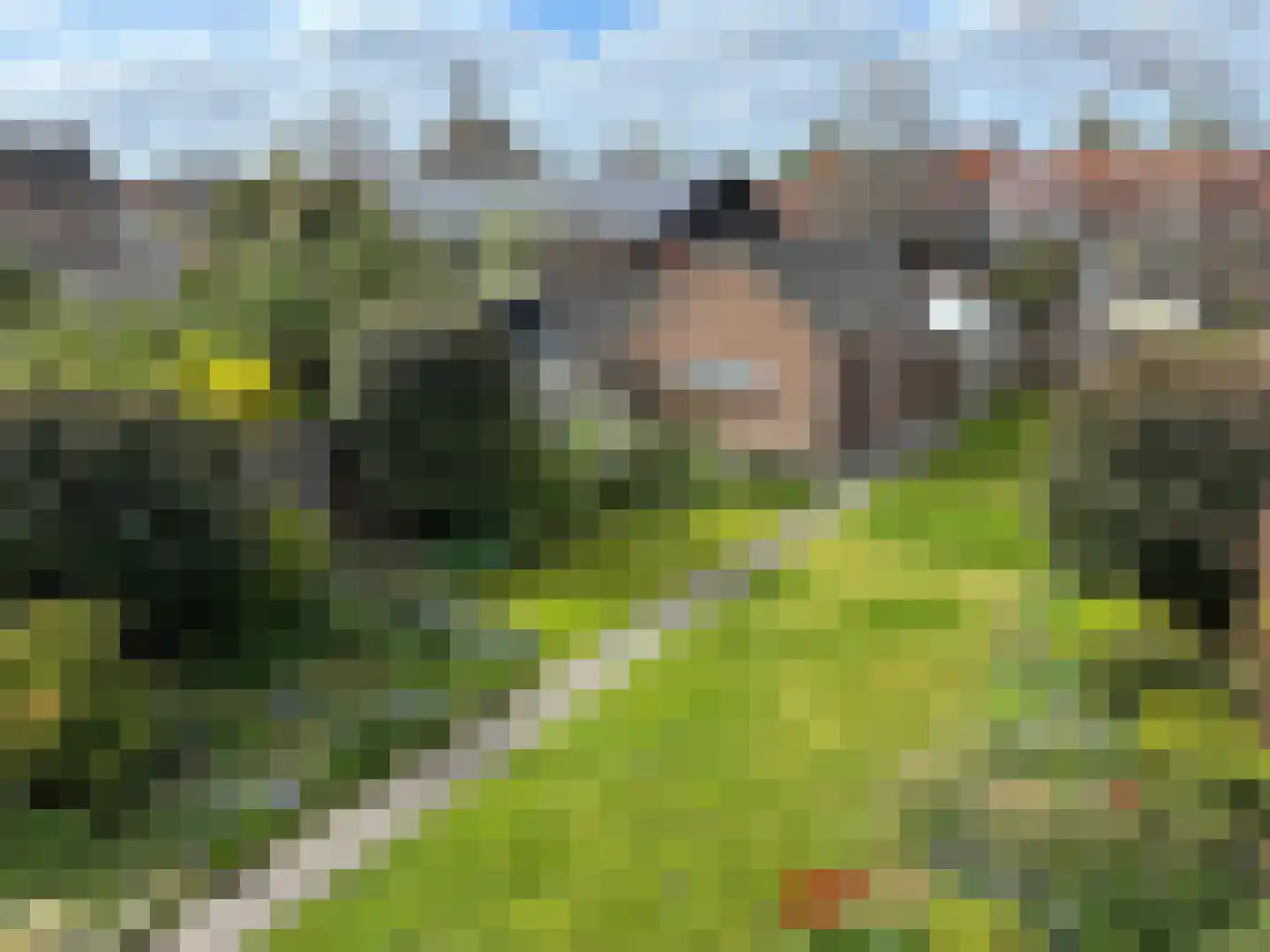 Dorpsstraat 22 Schoondijke thumbnail 46