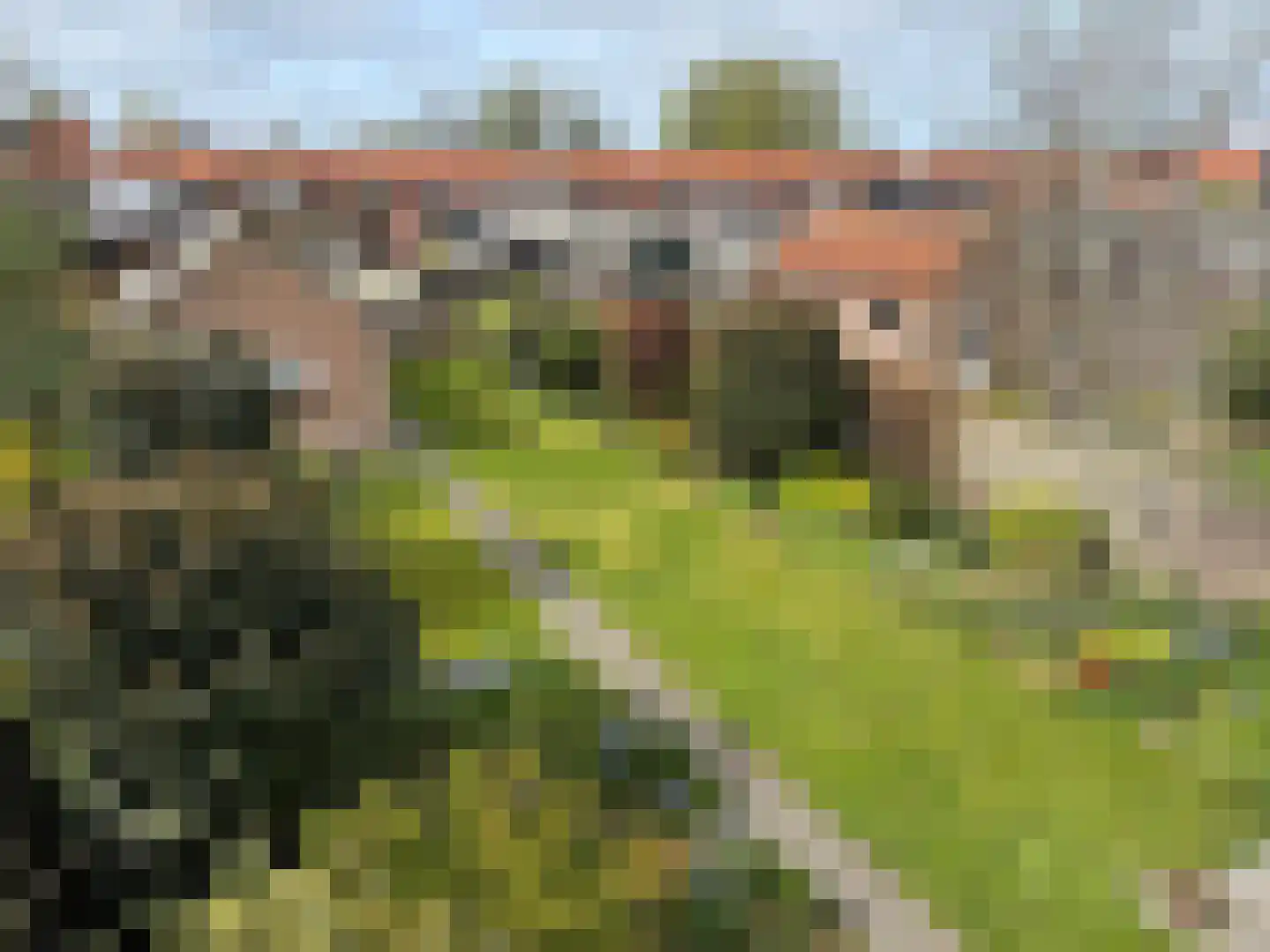 Dorpsstraat 22 Schoondijke thumbnail 47