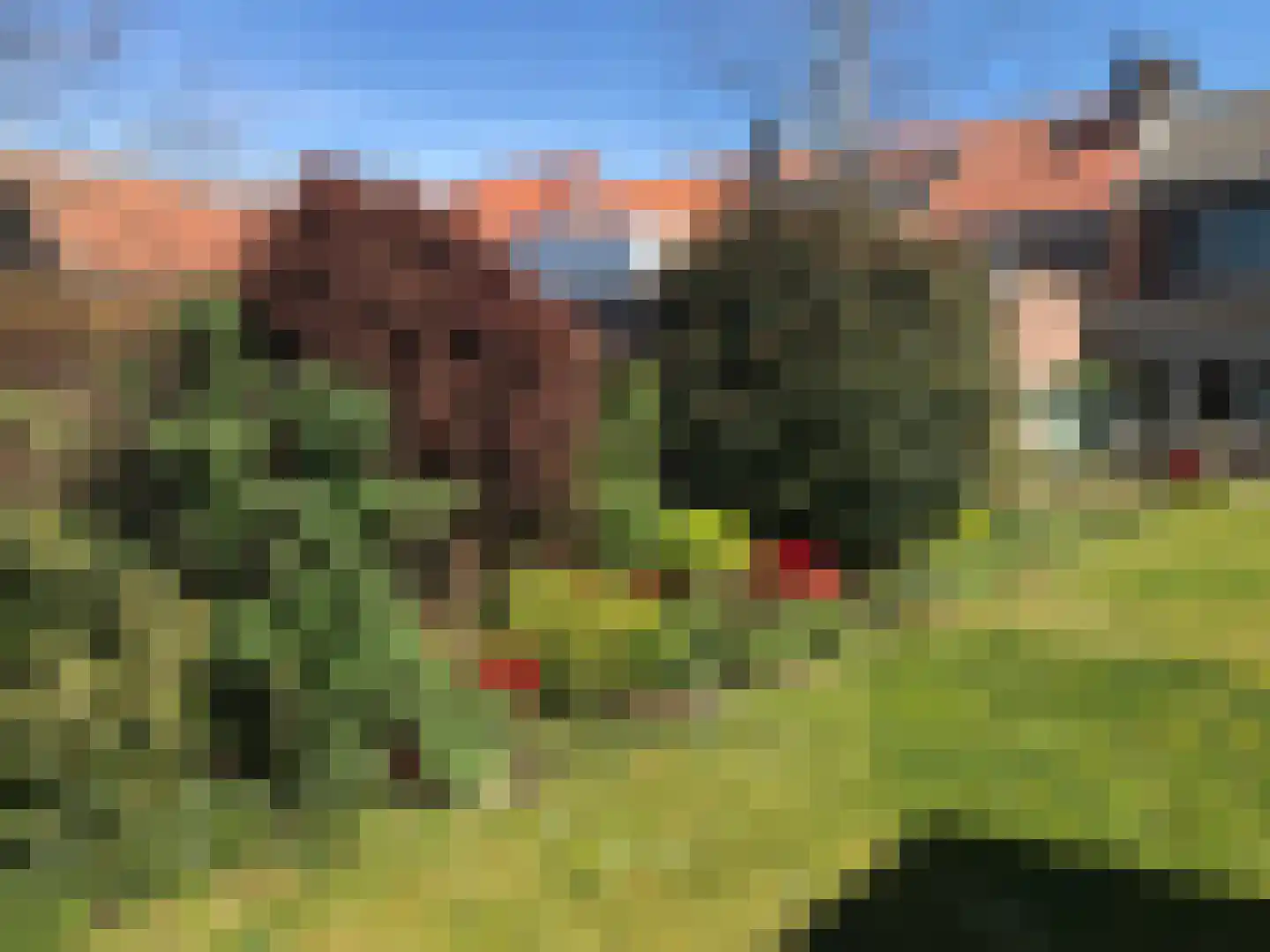 Dorpsstraat 22 Schoondijke thumbnail 51