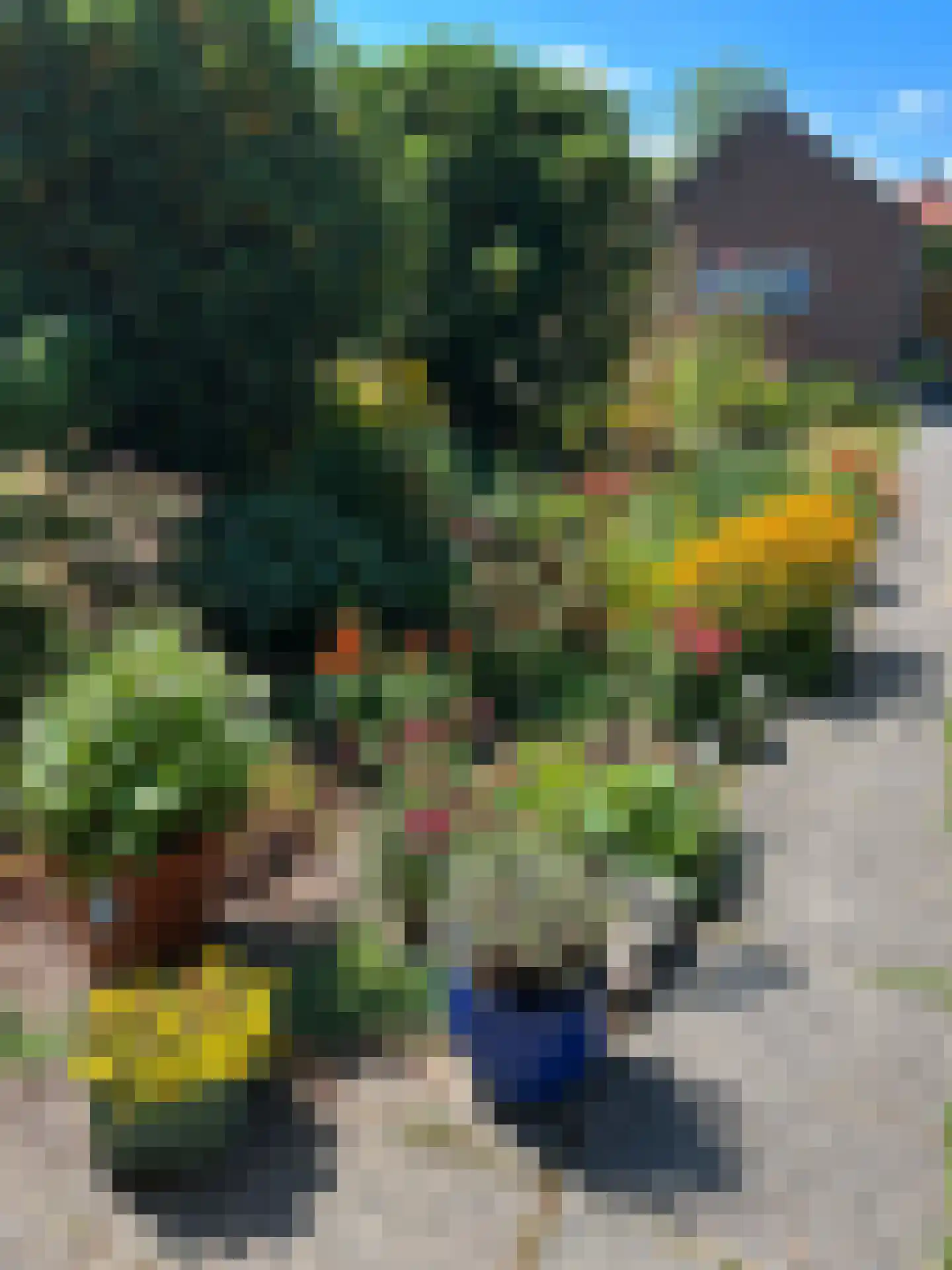 Dorpsstraat 22 Schoondijke thumbnail 58