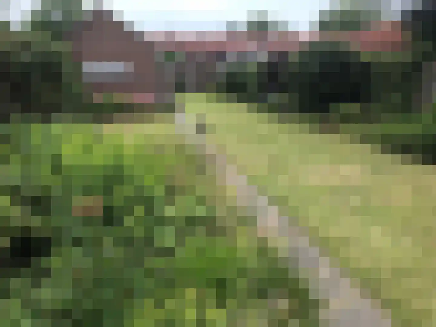 Dorpsstraat 22 Schoondijke thumbnail 59