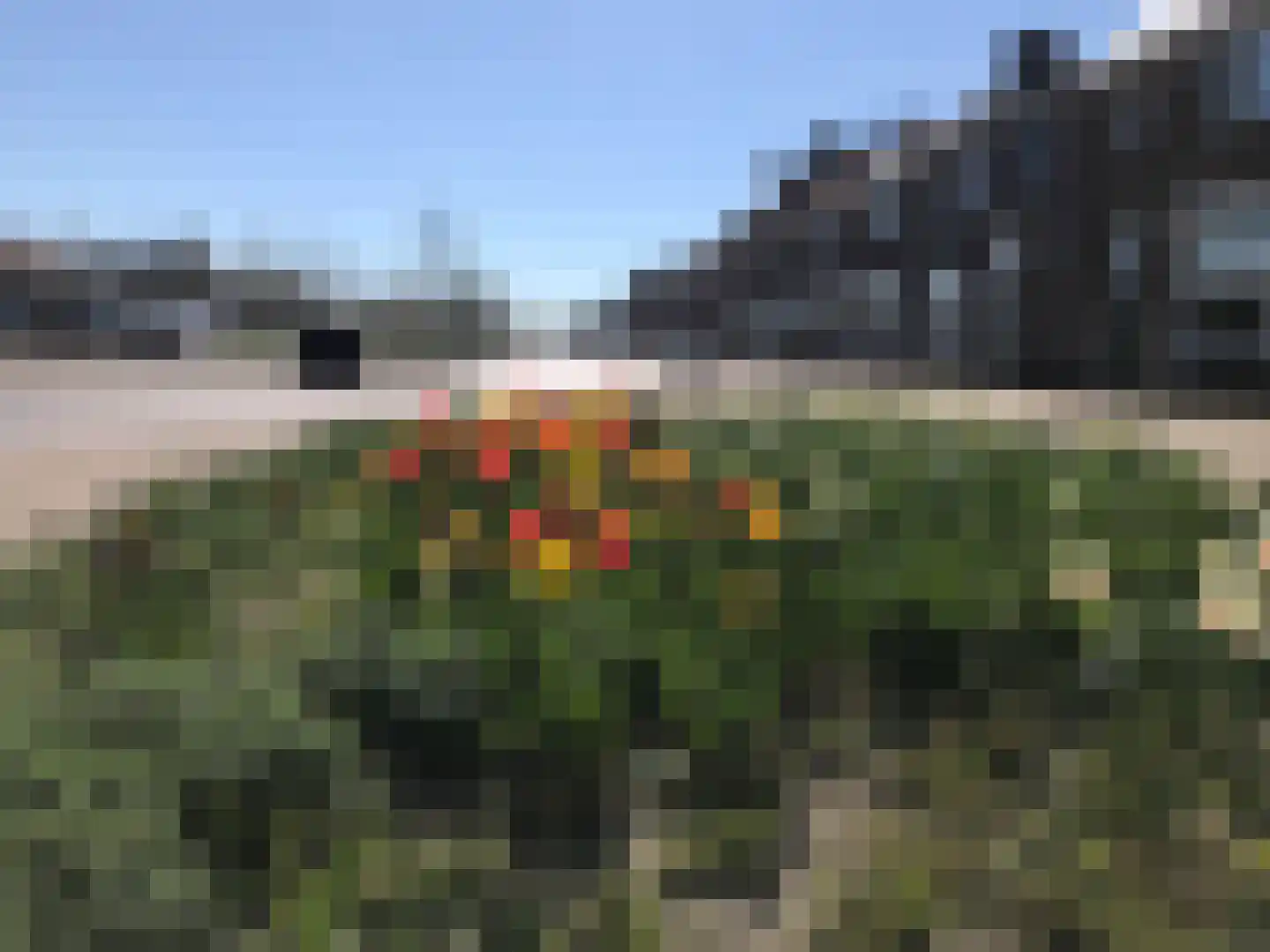 Dorpsstraat 22 Schoondijke thumbnail 63