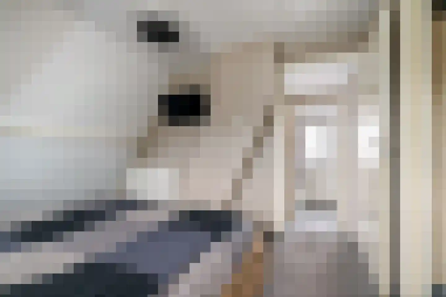 Dorpsstraat 22 Wilp thumbnail 16