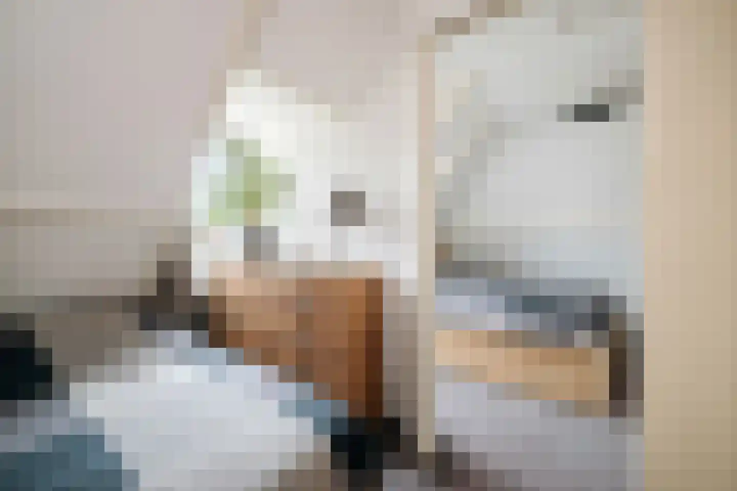 Dorpsstraat 22 Wilp thumbnail 18