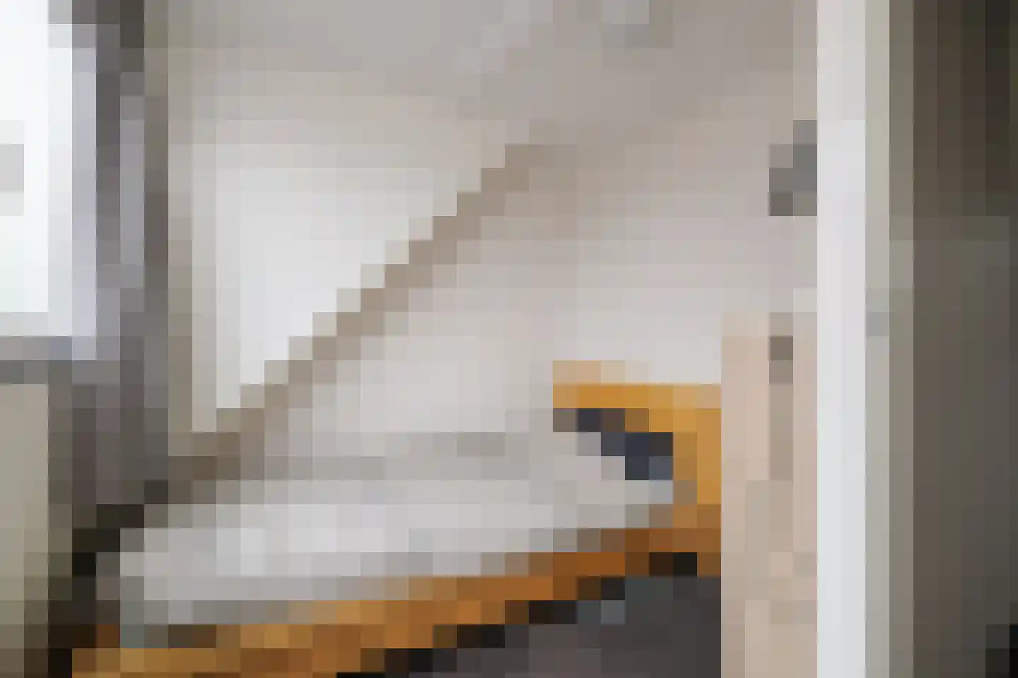 Dorpsstraat 22 Wilp thumbnail 19